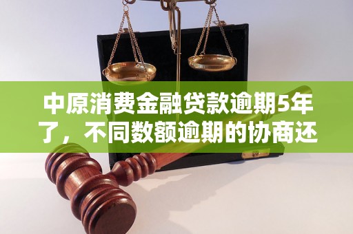 中原消费金融贷款逾期5年了，不同数额逾期的协商还款经验分享