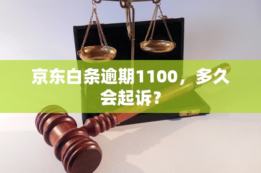 京东白条逾期1100，多久会起诉？