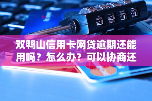 双鸭山信用卡网贷逾期还能用吗？怎么办？可以协商还本金吗？