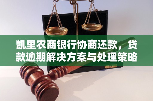 凯里农商银行协商还款，贷款逾期解决方案与处理策略