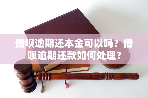 借呗逾期还本金可以吗？借呗逾期还款如何处理？