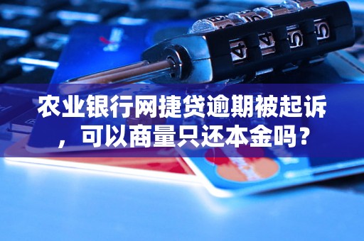 农业银行网捷贷逾期被起诉，可以商量只还本金吗？