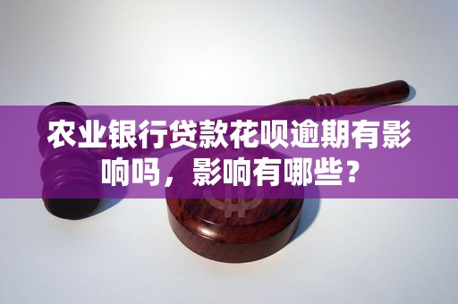 农业银行贷款花呗逾期有影响吗，影响有哪些？