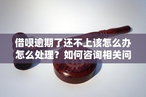 借呗逾期了还不上该怎么办怎么处理？如何咨询相关问题？