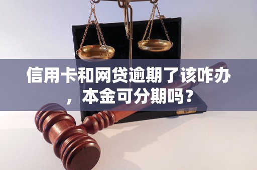 信用卡和网贷逾期了该咋办，本金可分期吗？