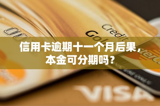 信用卡逾期十一个月后果，本金可分期吗？