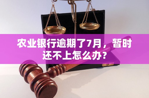 农业银行逾期了7月，暂时还不上怎么办？