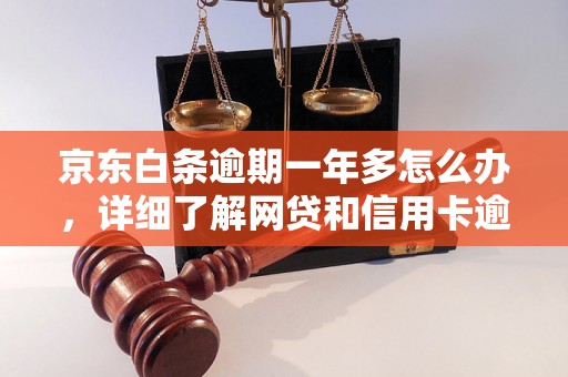 京东白条逾期一年多怎么办，详细了解网贷和信用卡逾期法律后果