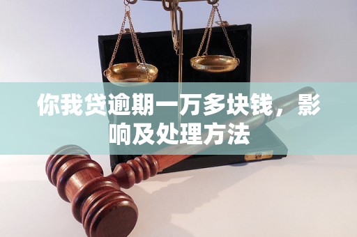 你我贷逾期一万多块钱，影响及处理方法