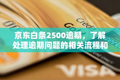 京东白条2500逾期，了解处理逾期问题的相关流程和方法