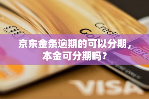 京东金条逾期的可以分期，本金可分期吗？