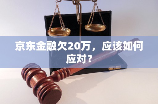 京东金融欠20万，应该如何应对？