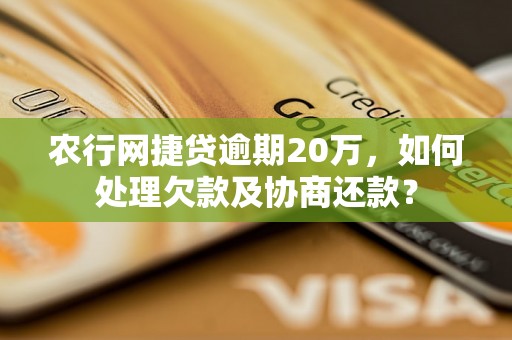 农行网捷贷逾期20万，如何处理欠款及协商还款？