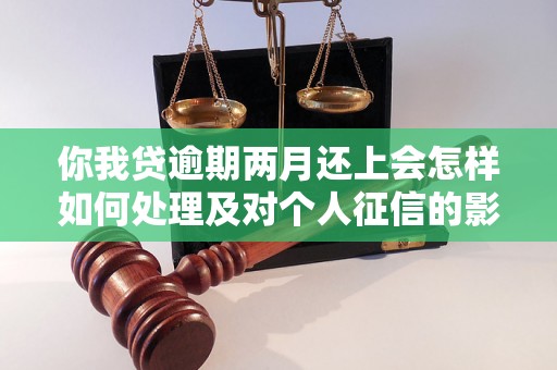 你我贷逾期两月还上会怎样如何处理及对个人征信的影响