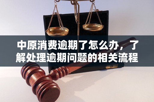 中原消费逾期了怎么办，了解处理逾期问题的相关流程和方法