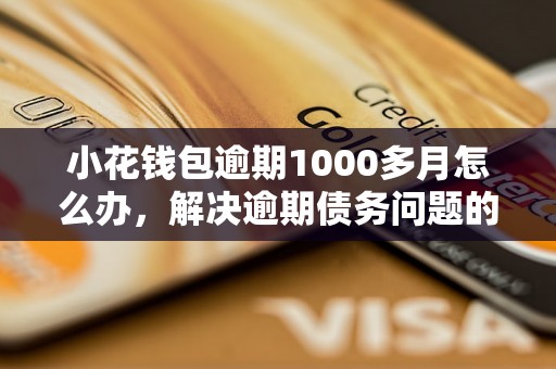 小花钱包逾期1000多月怎么办，解决逾期债务问题的完整指南