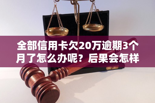 全部信用卡欠20万逾期3个月了怎么办呢？后果会怎样？