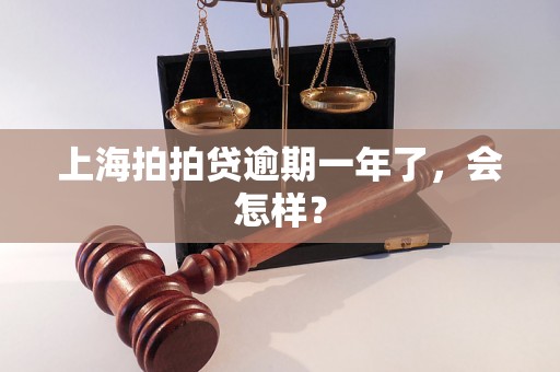 上海拍拍贷逾期一年了，会怎样？