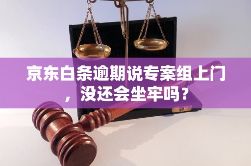 京东白条逾期说专案组上门，没还会坐牢吗？