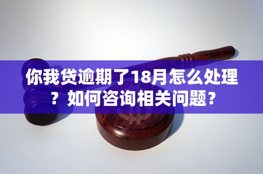 你我贷逾期了18月怎么处理？如何咨询相关问题？