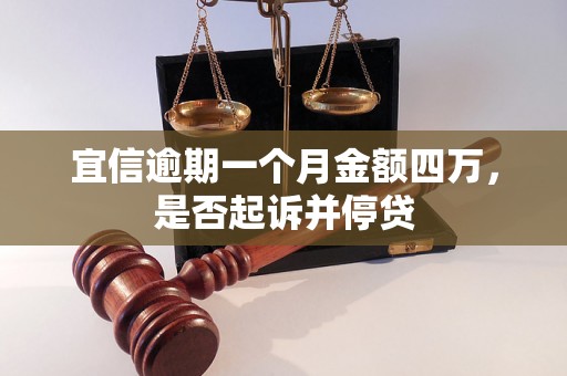 宜信逾期一个月金额四万，是否起诉并停贷