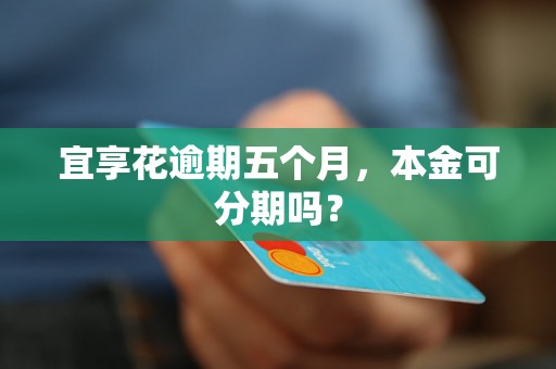 宜享花逾期五个月，本金可分期吗？