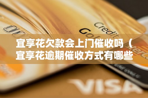 宜享花欠款会上门催收吗（宜享花逾期催收方式有哪些）