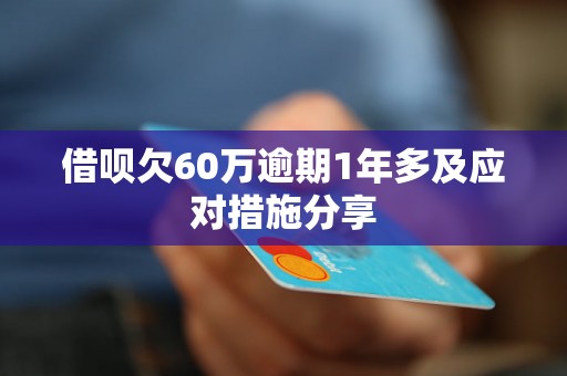 借呗欠60万逾期1年多及应对措施分享