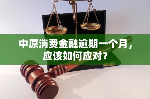 中原消费金融逾期一个月，应该如何应对？