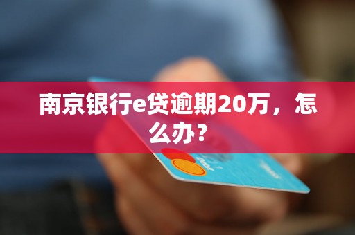 南京银行e贷逾期20万，怎么办？