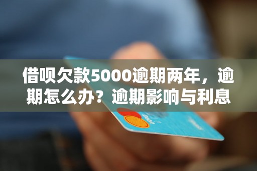 借呗欠款5000逾期两年，逾期怎么办？逾期影响与利息了解！