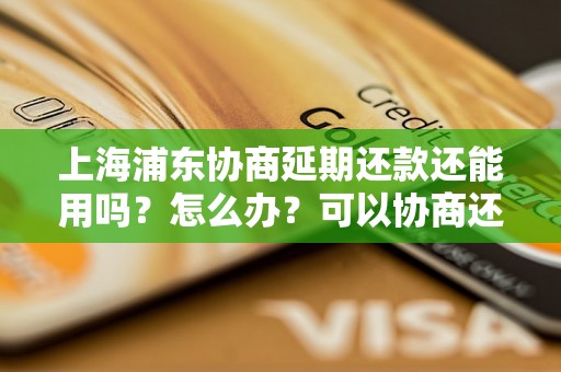 上海浦东协商延期还款还能用吗？怎么办？可以协商还本金吗？