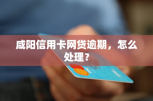 咸阳信用卡网贷逾期，怎么处理？