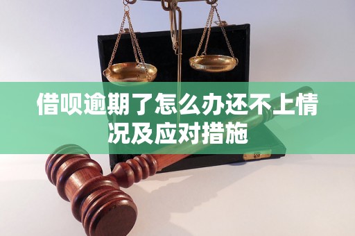 借呗逾期了怎么办还不上情况及应对措施