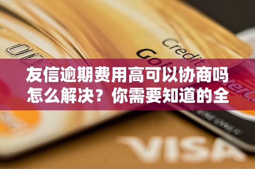 友信逾期费用高可以协商吗怎么解决？你需要知道的全部解决方法