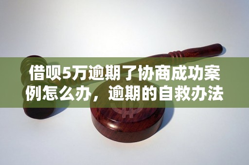 借呗5万逾期了协商成功案例怎么办，逾期的自救办法