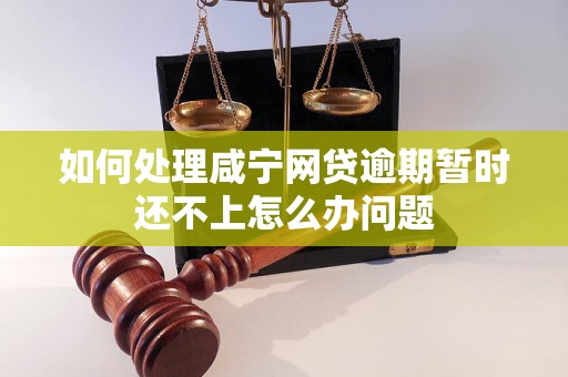 如何处理咸宁网贷逾期暂时还不上怎么办问题