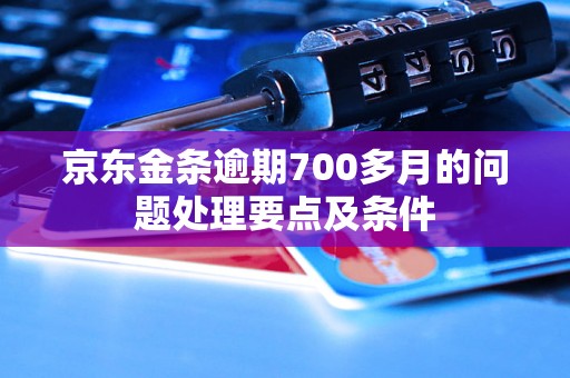 京东金条逾期700多月的问题处理要点及条件