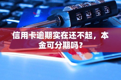 信用卡逾期实在还不起，本金可分期吗？