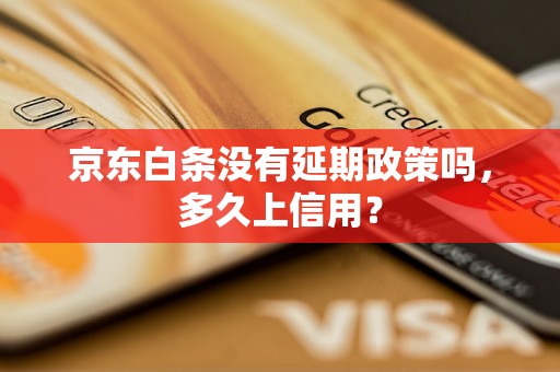 京东白条没有延期政策吗，多久上信用？