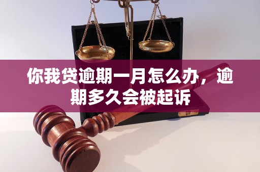 你我贷逾期一月怎么办，逾期多久会被起诉