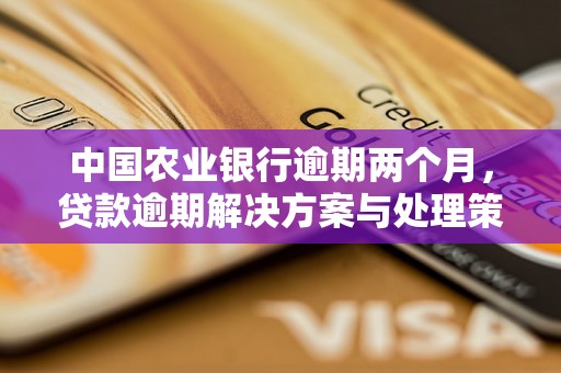 中国农业银行逾期两个月，贷款逾期解决方案与处理策略