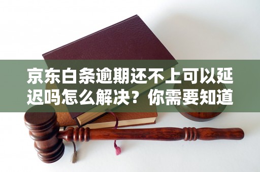 京东白条逾期还不上可以延迟吗怎么解决？你需要知道的全部解决方法