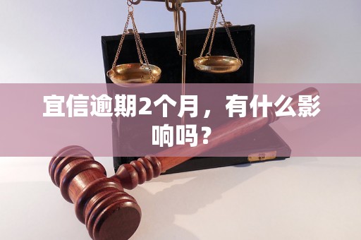 宜信逾期2个月，有什么影响吗？