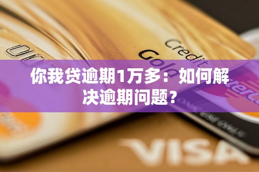 你我贷逾期1万多：如何解决逾期问题？