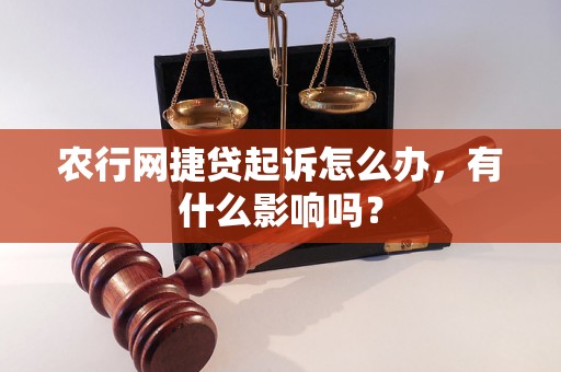 农行网捷贷起诉怎么办，有什么影响吗？