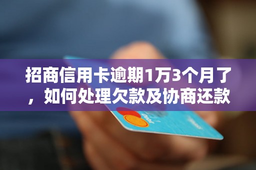 招商信用卡逾期1万3个月了，如何处理欠款及协商还款？