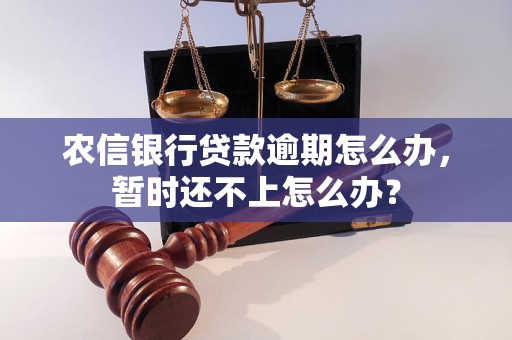 农信银行贷款逾期怎么办，暂时还不上怎么办？