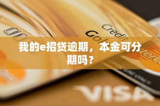 我的e招贷逾期，本金可分期吗？