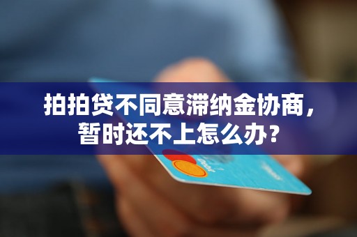 拍拍贷不同意滞纳金协商，暂时还不上怎么办？